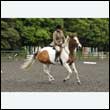 durdress26_0759