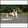 durdress26_0760