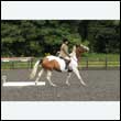 durdress26_0761