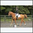 durdress26_0763