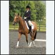 durdress26_0764