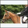durdress26_0766