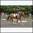 durdress26_0767