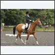 durdress26_0768