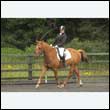 durdress26_0769