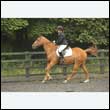 durdress26_0770