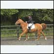 durdress26_0771