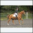 durdress26_0772
