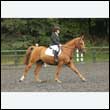 durdress26_0773