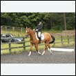 durdress26_0774