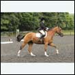 durdress26_0775