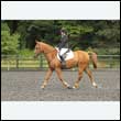 durdress26_0776