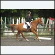 durdress26_0777