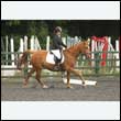 durdress26_0778