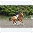 durdress26_0779