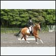 durdress26_0780