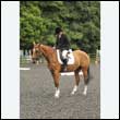 durdress26_0781