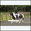 durdress26_0783