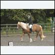 durdress26_0785