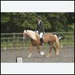 durdress26_0786
