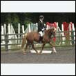 durdress26_0787