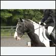 durdress26_0791