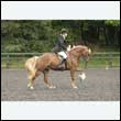 durdress26_0792