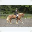 durdress26_0793