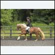 durdress26_0794