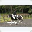 durdress26_0797