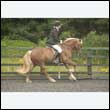 durdress26_0798