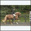 durdress26_0799