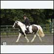 durdress26_0804