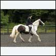 durdress26_0805