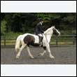 durdress26_0806