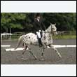 durdress26_0810