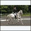 durdress26_0811