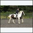 durdress26_0812