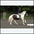 durdress26_0813