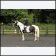durdress26_0822
