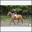 durdress26_0823