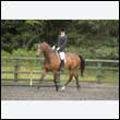durdress26_0827