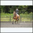 durdress26_0828