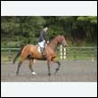 durdress26_0831