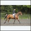 durdress26_0832