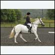 durdress26_0834