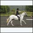 durdress26_0835