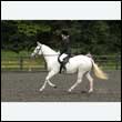 durdress26_0836
