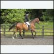 durdress26_0838