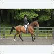 durdress26_0839